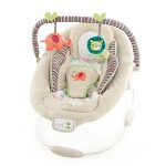 ComfortAndHarmonyCradlingBouncer1