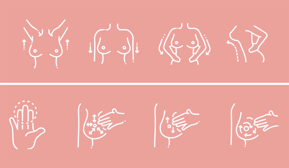 anatomy, awareness, banner, beauty, body, breast, breast cancer,