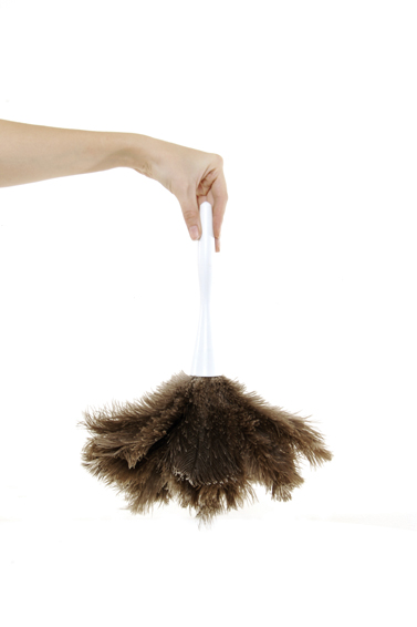 Hand holding a feather duster