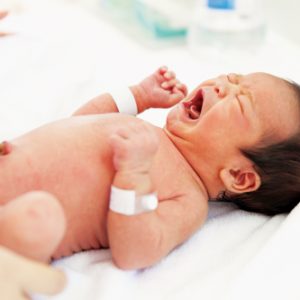 What happens to baby’s umbilical cord after birth