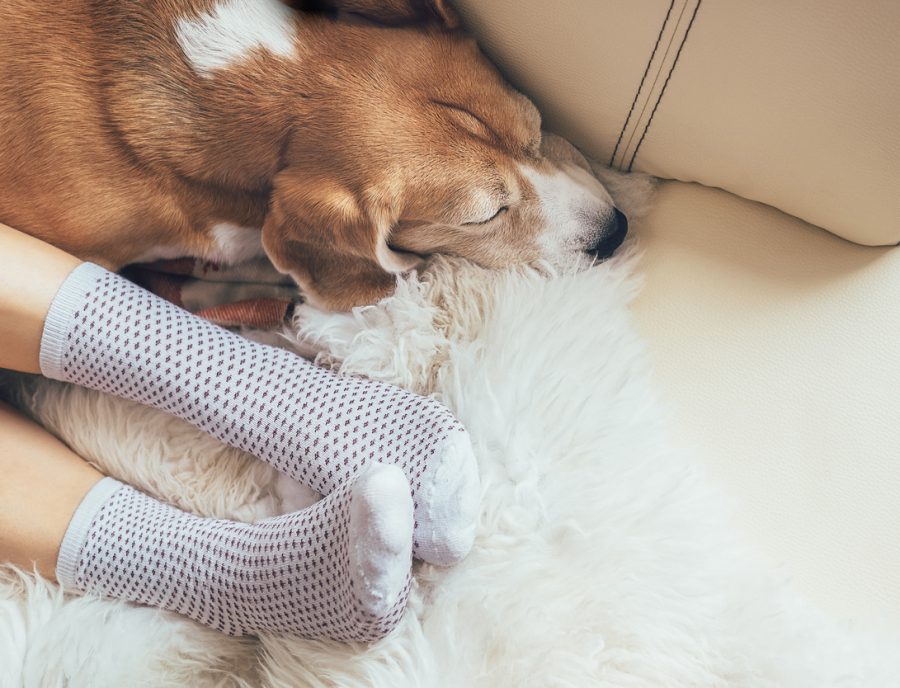 Nothing to sneeze at: The importance of a flu shot