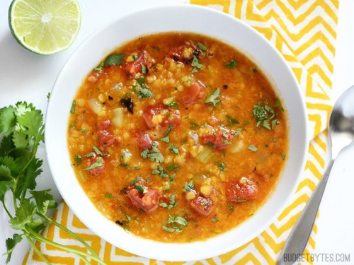 Mexican-Red-Lentil-Stew-above
