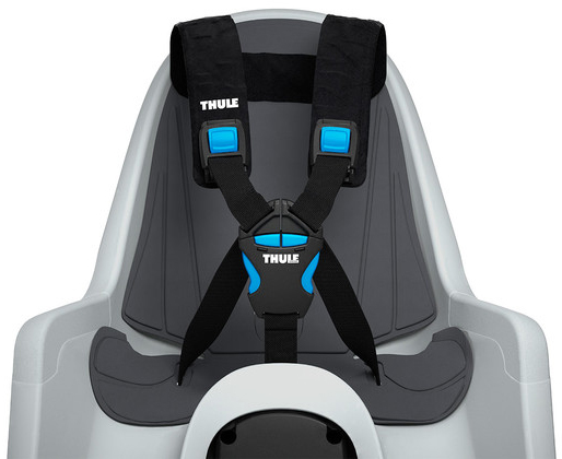 Thule RideAlong Mini - Pregnancy & Newborn Magazine