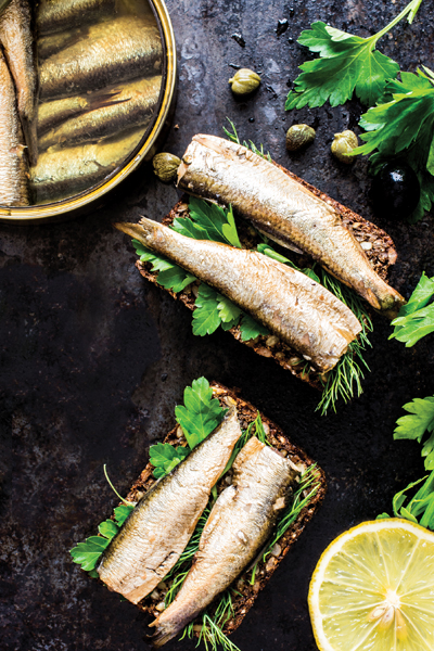 sardines