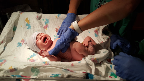 Week 19: It’s a girl!