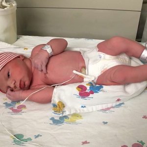 Close call: The birth of Bodhi