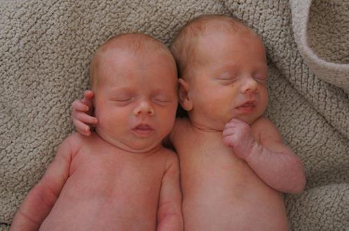 308384_10150916476045456_778090455_21611759_652766448_n_0