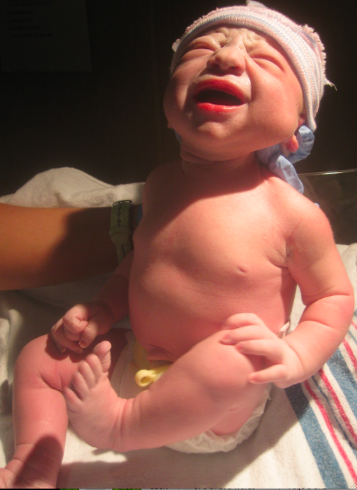 Screen20shot202011-08-1420at203.44.4620PM