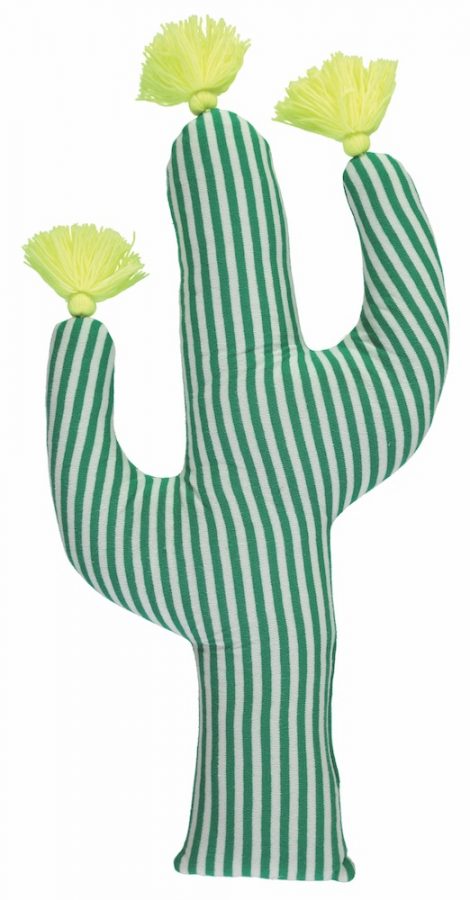 Cinco de Mayo7