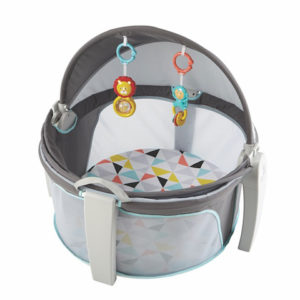Fisher-Price On-the-Go Baby Dome